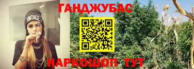 гидра Железногорск
