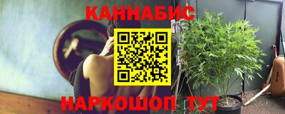 трава Будённовск