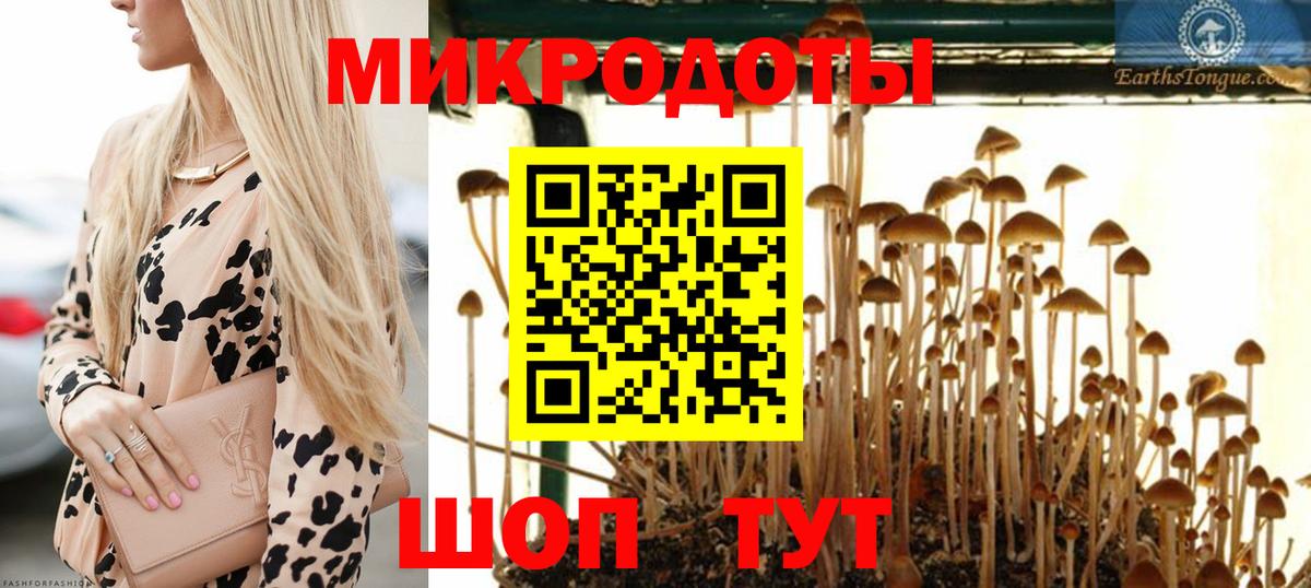 Галлюциногенные грибы мухоморы  хочу   Советск  Вход с VPN  Галлюциногенные грибы MAGIC MUSHROOMS 