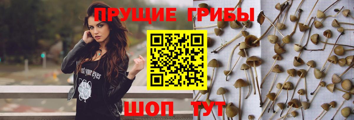 Галлюциногенные грибы мухоморы Советск
